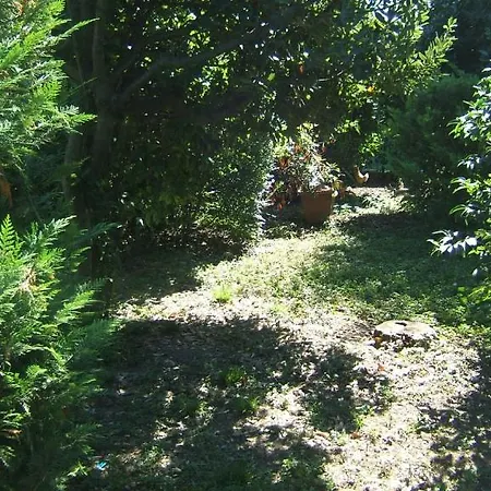 Ξενοδοχείο Canareggio 3*